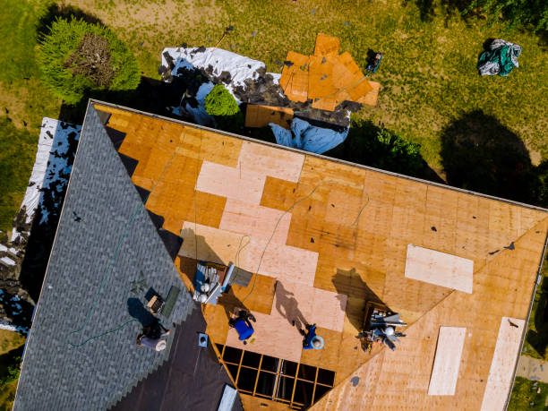 Best Emergency Roof Repair  in Cobden, IL
