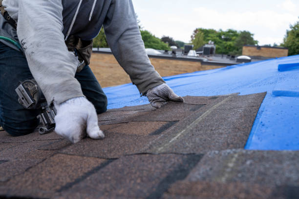 Best Shingle Roofing Installation  in Cobden, IL