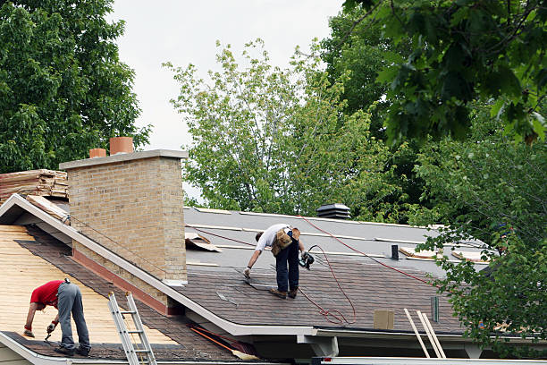 Roof Gutter Cleaning in Cobden, IL
