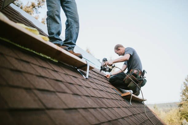 Best Roof Waterproofing Services  in Cobden, IL