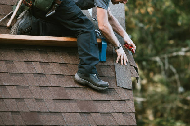 Best Roof Maintenance Services  in Cobden, IL